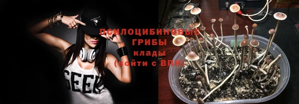 PSILOCYBIN Билибино