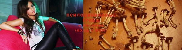 кокаин премиум Новодвинск