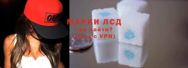 apvp Новозыбков
