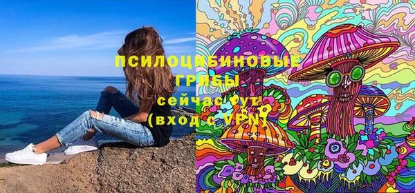 apvp Новозыбков