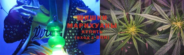 PSILOCYBIN Билибино
