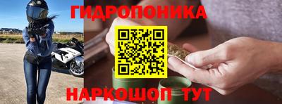 ALPHA PVP Аргун