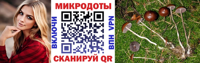 Псилоцибиновые грибы Magic Shrooms  наркотики  Асбест 