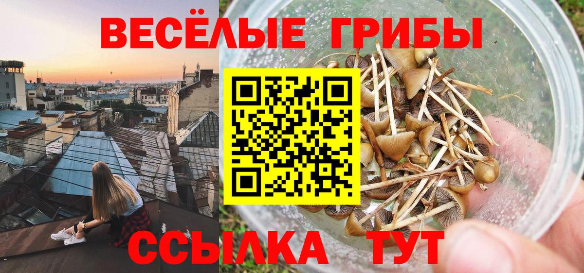 Асбест  Псилоцибиновые грибы мухоморы  Вход с VPN 