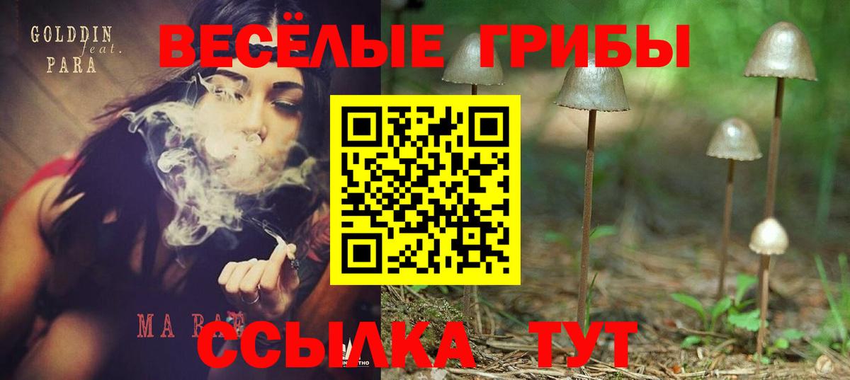 где продают   Асбест  Галлюциногенные грибы MAGIC MUSHROOMS 